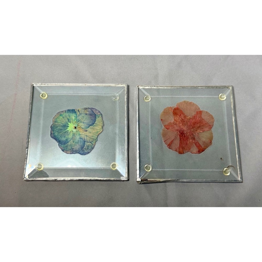 Wildflower & Co Emeryville CA Pressed Flower Glass Coasters Set of 2